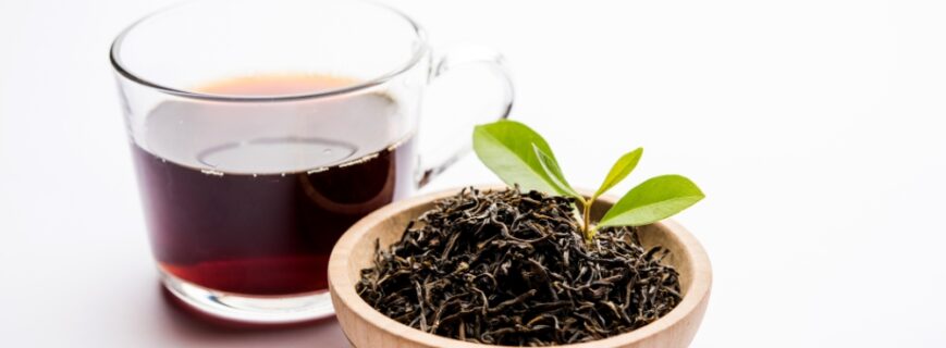 Untitled design - 2026-04-04T175636.474 Untitled design - 2026-04-04T175636.474